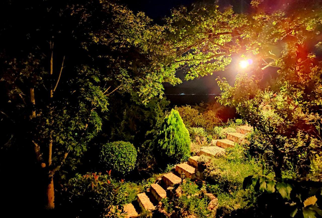 Villa Forest Paradise Ohrid Exterior photo
