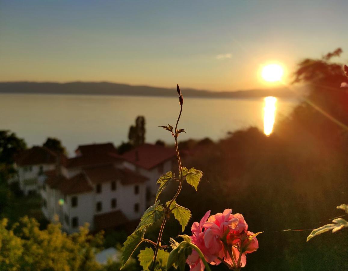 Villa Forest Paradise Ohrid Exterior photo